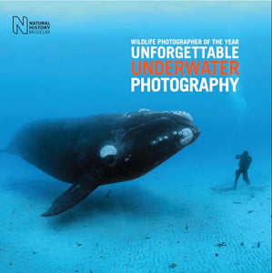 Wildlife Photographer of the Year: Unforgettable Underwater Photography 