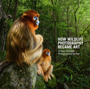 How Wildlife Photography Became Art 