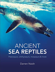 Ancient Sea Reptiles 