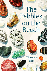 The Pebbles on the Beach 