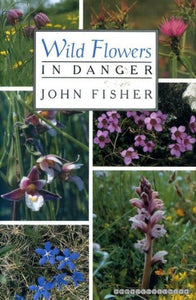 Wild Flowers in Danger 