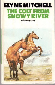 Colt from Snowy River 