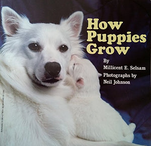 How Puppies Grow 