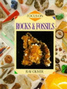 Focus on Rocks and Fossils 