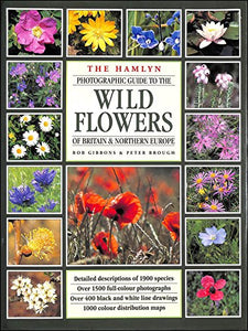 Wild Flowers of Britain and Europe 