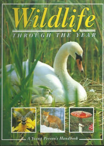 Wildlife Throughout the Year 