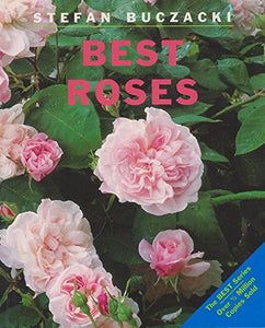 Best Roses 