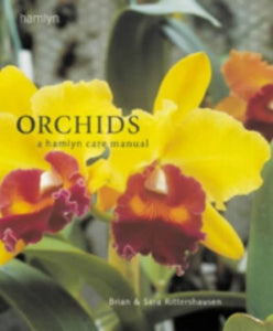 Orchids 