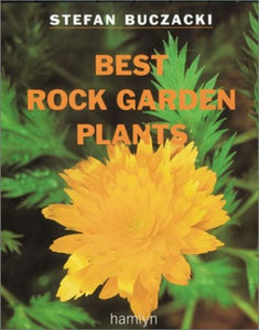 Best Rock Garden Plants 