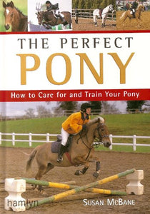 The Perfect Pony 