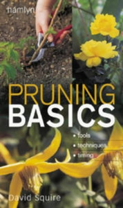 Pruning Basics 