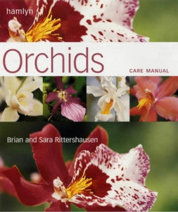 Orchids 