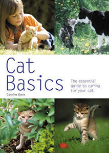 Cat Basics 