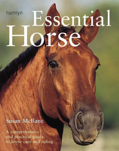 Essential Horse 