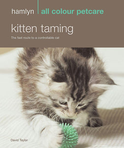 Kitten Taming 