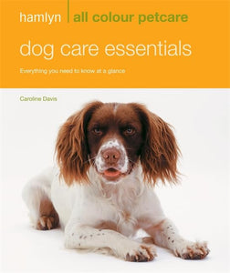 Dog Care Essentials 