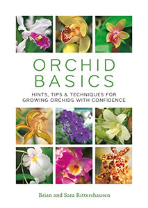 Orchid Basics 