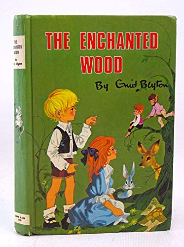 The Enchanted Wood