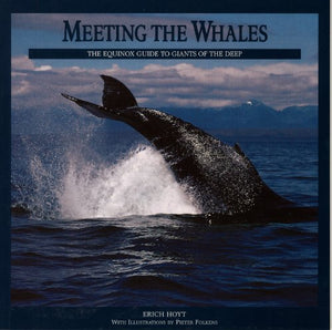 Meeting the Whales 