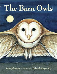 Barn Owls 