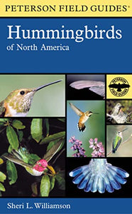 Peterson Field Guide To Hummingbirds Of North America, A 