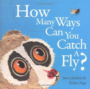 How Many Ways can You Catch a Fly? 