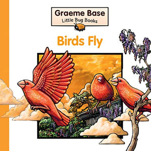 Little Bug Books: Birds Fly 