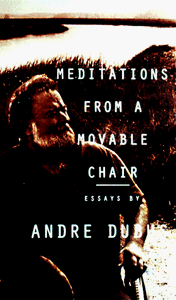 Meditations from a Movable Chair 