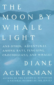 Moon By Whale Light 