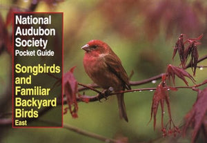 National Audubon Society Pocket Guide to Songbirds and Familiar Backyard Birds: Eastern Region 