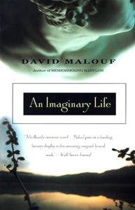 An Imaginary Life 