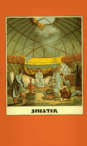 Shelter 