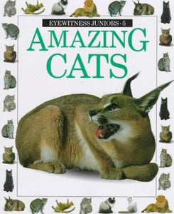 Amazing Cats 