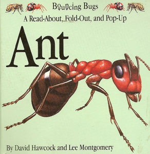 Ant 