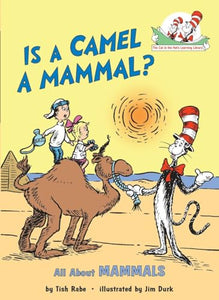 Is a Camel a Mammal? All About Mammals 