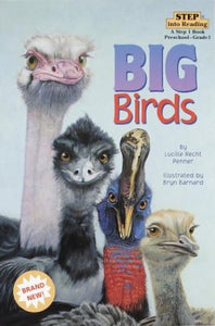 Big Birds 