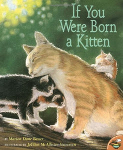 If You Were Born a Kitten 