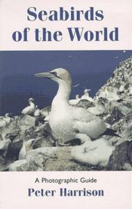 Seabirds of the World 