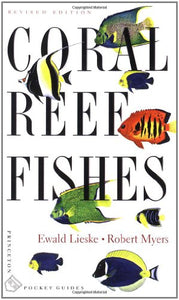 Coral Reef Fishes 