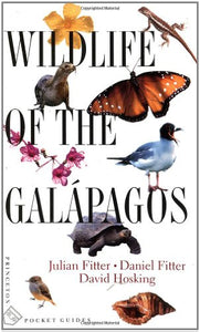 Wildlife of the Galapagos 