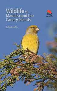 Wildlife of Madeira and the Canary Islands 