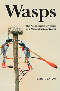 Wasps 