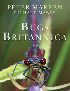 Bugs Britannica 