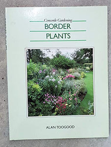 Border Plants 