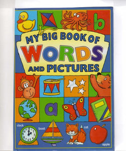 my big book of words and pictures 