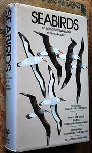 Seabirds 