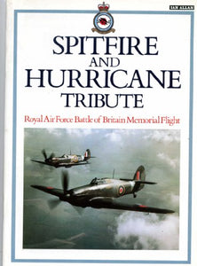 Spitfire and Hurricane Tribute 