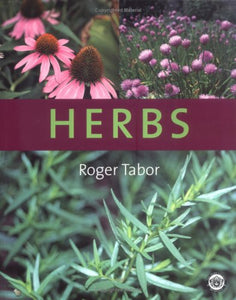 Herbs 