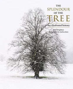 The Splendour of the Tree 