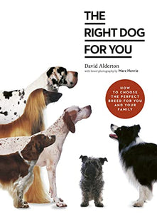 The Right Dog for You 